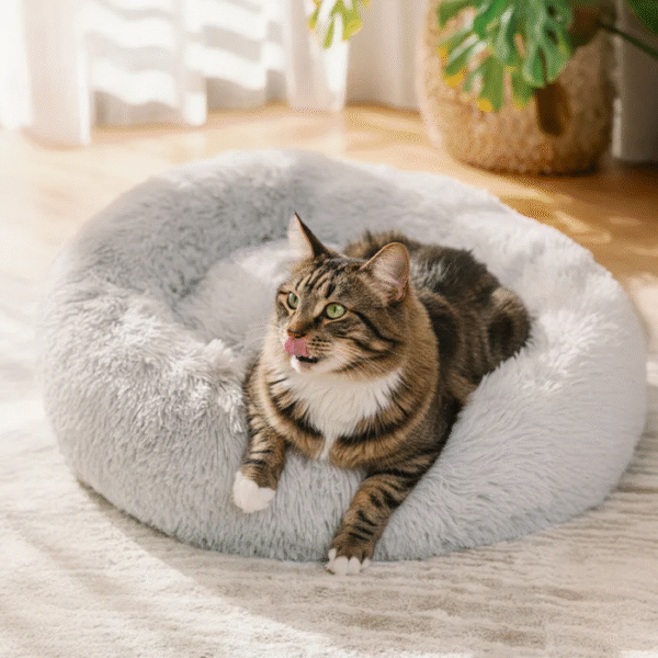 Best Calming Bed for Cats: Create the Perfect Comfort Zone for Your Feline Friend
