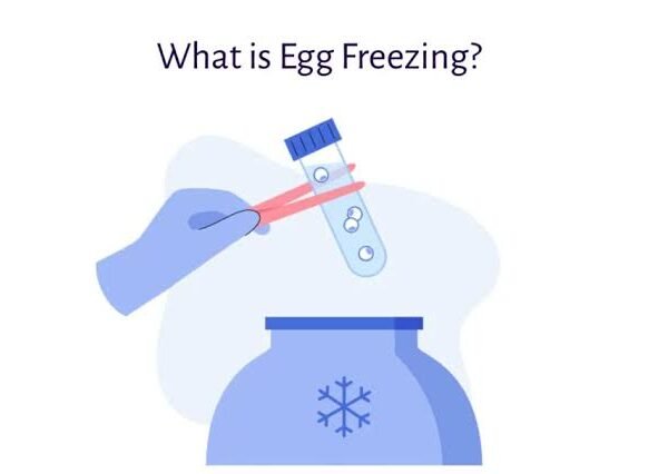 Egg Freezing Cost in 2026: What Top IVF Centers in Noida Are Offering