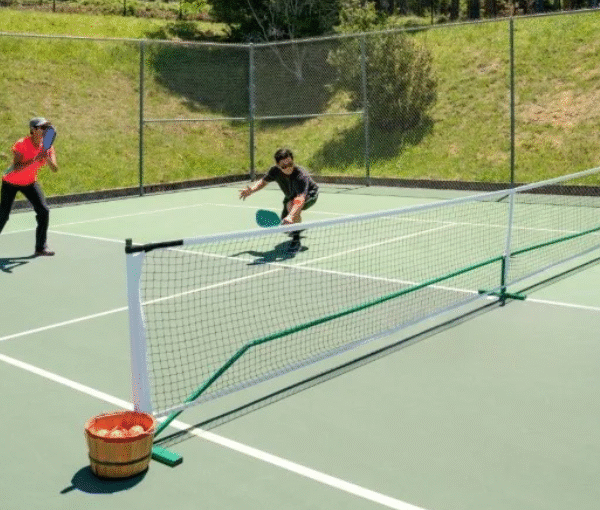 Srikel Flash Court: The Ultimate Portable Pickleball Net Guide