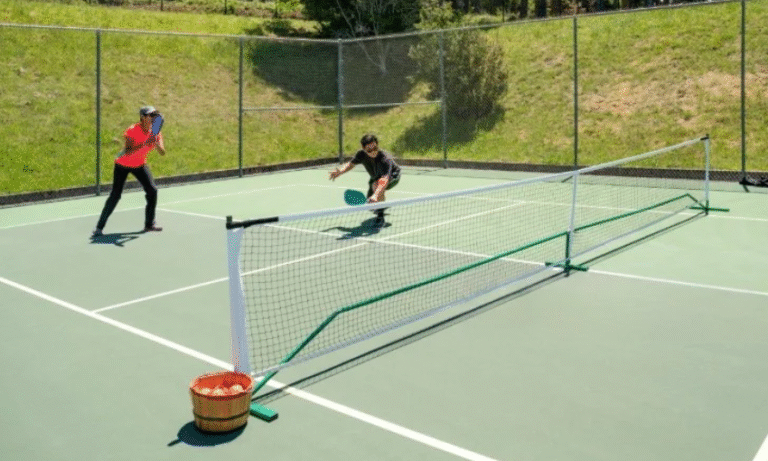 Srikel Flash Court: The Ultimate Portable Pickleball Net Guide